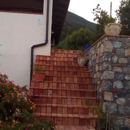 Casa de hóspedes L' Agrumeto Maratea