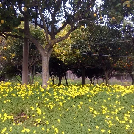 L' Agrumeto 3*