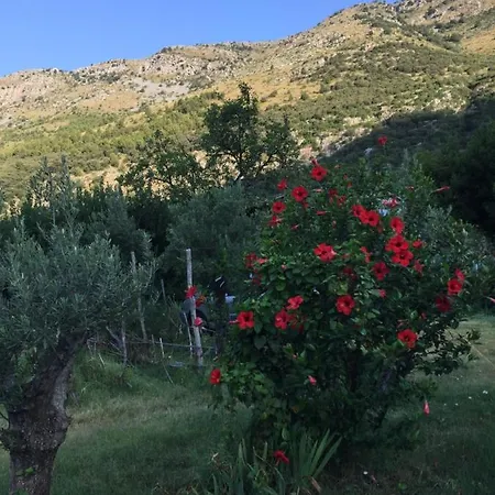 L' Agrumeto Guest house Maratea