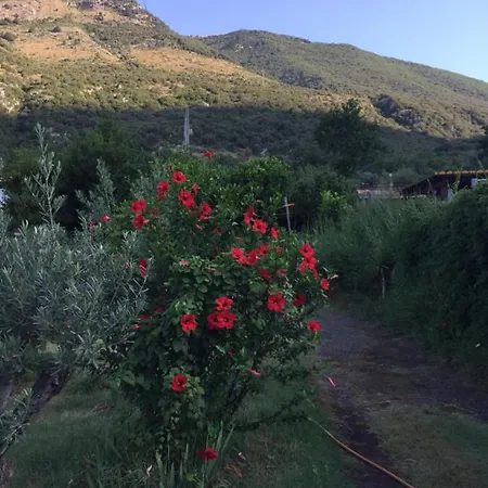 L' Agrumeto *