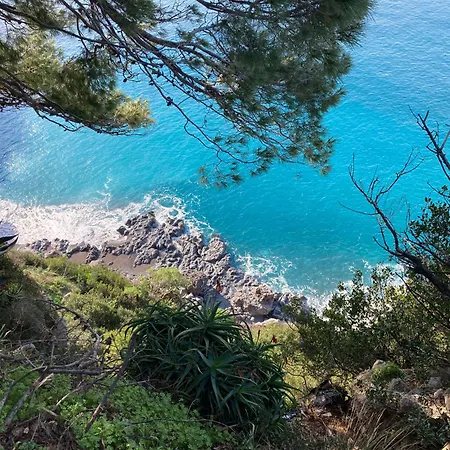 L' Agrumeto