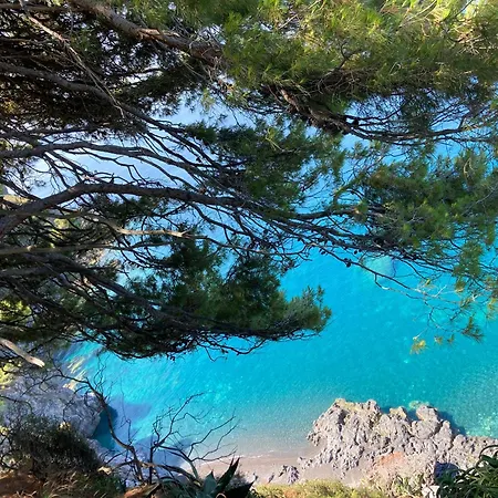 L' Agrumeto Guest house Maratea