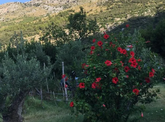 L' Agrumeto Guest house Maratea