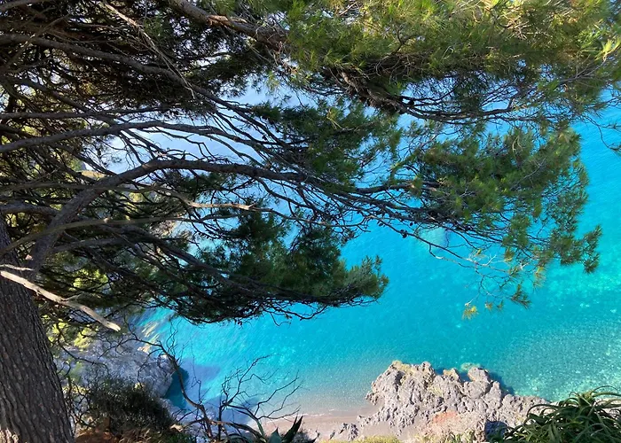 L' Agrumeto Guest house Maratea