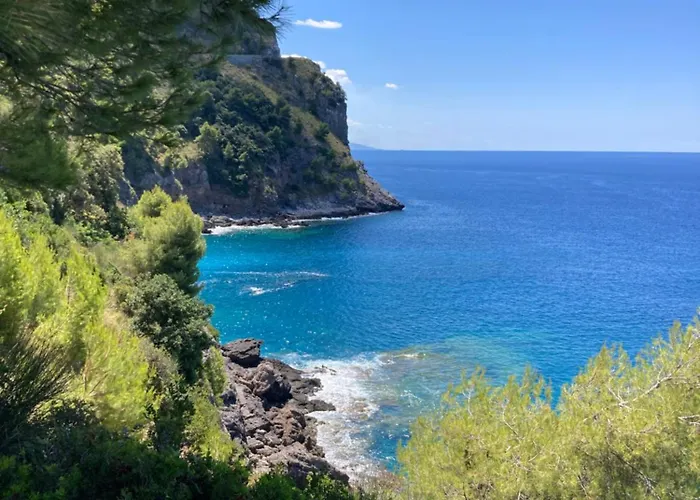 L’ Agrumeto Affittacamere